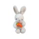 Plyšový zajačik s mrkvou 33 cm – roztomilá figúrka zajaca