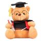 Promočný hnedý plyšový medveď 19 cm - malý absolvent s diplomom
